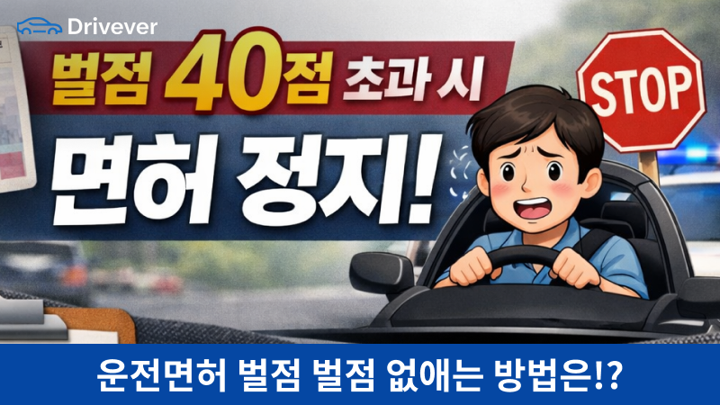 운전면허 벌점 기준, 운전면허 벌점 표