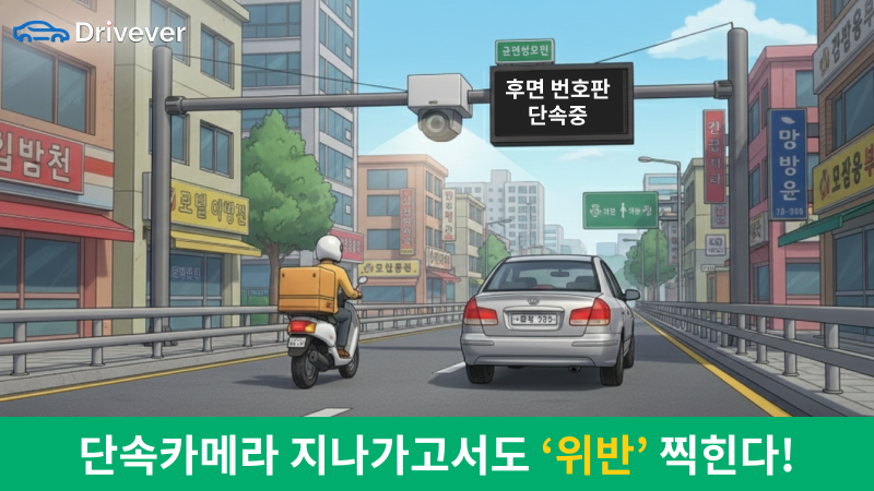 신호, 속도위반 이제 뒤에서도 찍힌다! 후면 번호판 단속 카메라 오토바이 & 자동차 과태료 총정리